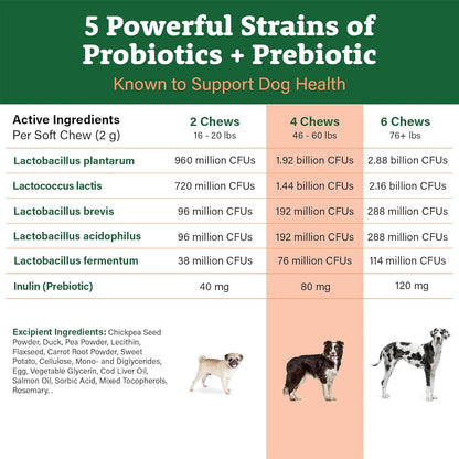 Probiotics for Dogs, 225 Soft Chews, Advanced Dog Probiotics with Prebiotics, Promotes Digestive Health, Supports Immune System and Overall Health (Duck)