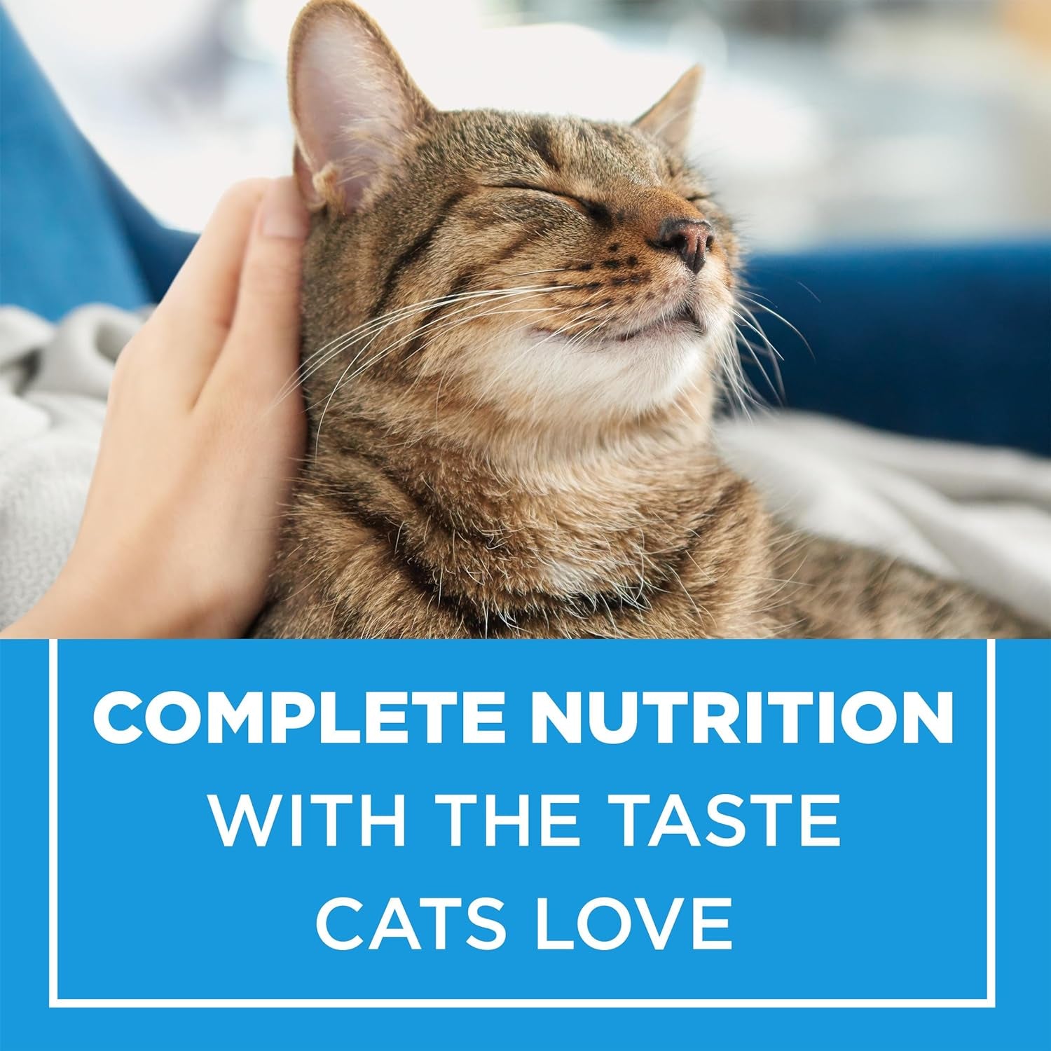 Cat Chow Complete Dry Cat Food, Advanced Nutrition for All Cats, Brown, 4.00 Kg (Pack of 1)