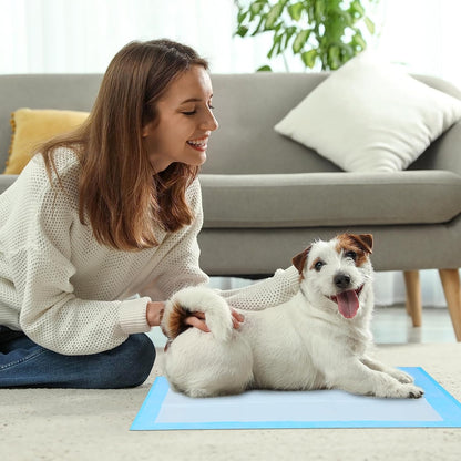 Scratchme Super-Absorbent Waterproof Dog and Puppy Pet Training Pad, Housebreaking Pet Pad, 100-Count Extra Small-Size, 13’’X17.7’’, Blue