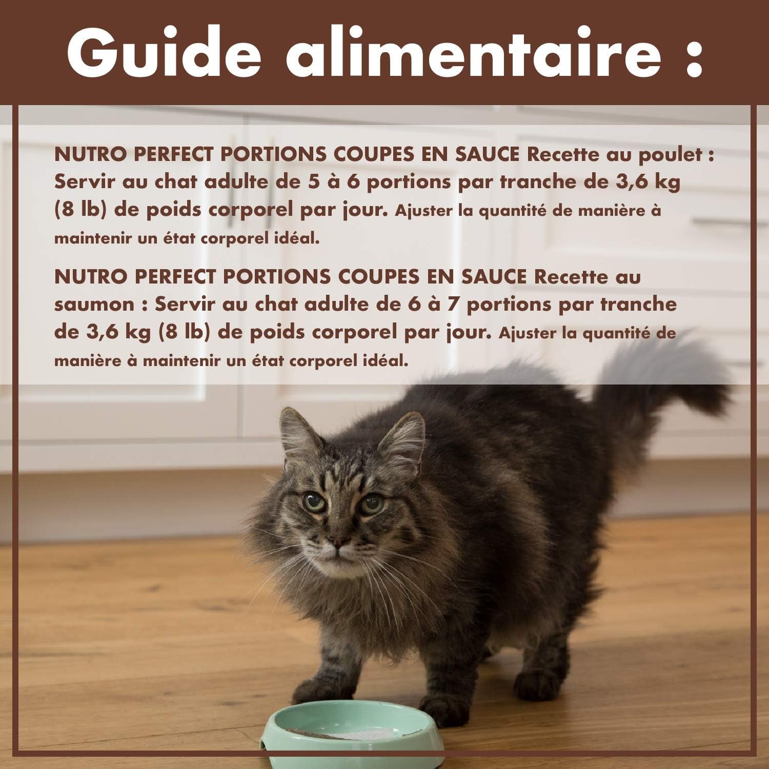 NUTRO Perfect PORTIONS Wet Cat Food, Chicken & Salmon Cuts in Gravy Multipack, 12X75G