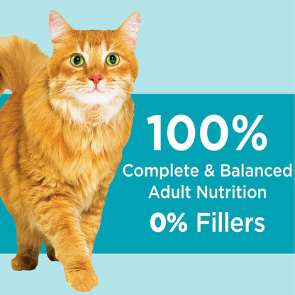 Proactive Health Dry Cat Food Adult - Indoor Weight & Hairball Care - Chicken & Turkey, 1.59Kg Bag