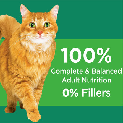 Proactive Health Healthy Senior Dry Cat Food, Chicken, 1.59Kg Bag