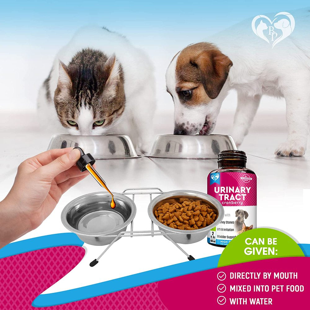 Cat & Dog Urinary Tract Infection Treatment & Natural UTI Cranberry -Kidney+Bladder Support Supplement - Best Prevention Urine Incontinence, Bladder Stones - Pet Renal Health & UTI Care Drops