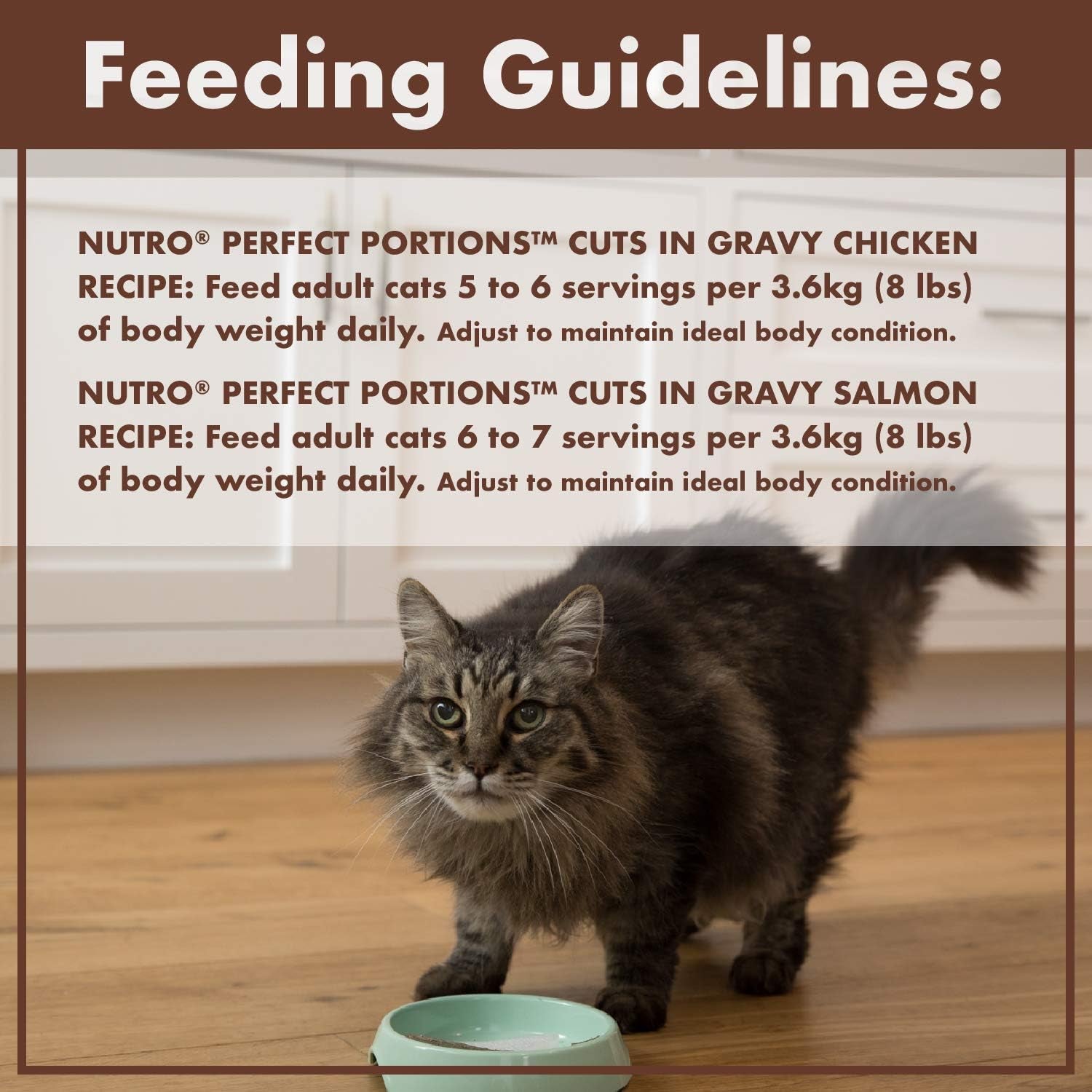 NUTRO Perfect PORTIONS Wet Cat Food, Chicken & Salmon Cuts in Gravy Multipack, 12X75G