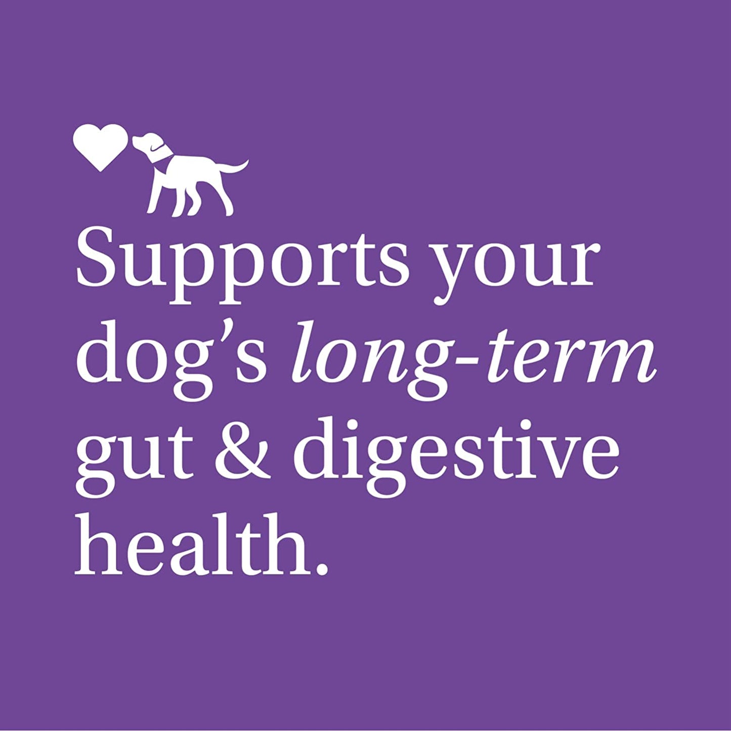 Probiotics for Dogs - Support Gut Health, Itchy Skin, Seasonal Allergies, and Yeast with Each Tasty Chew - Dog Probiotics - Safe for Small, Medium and Large Dogs - Packaging May Vary