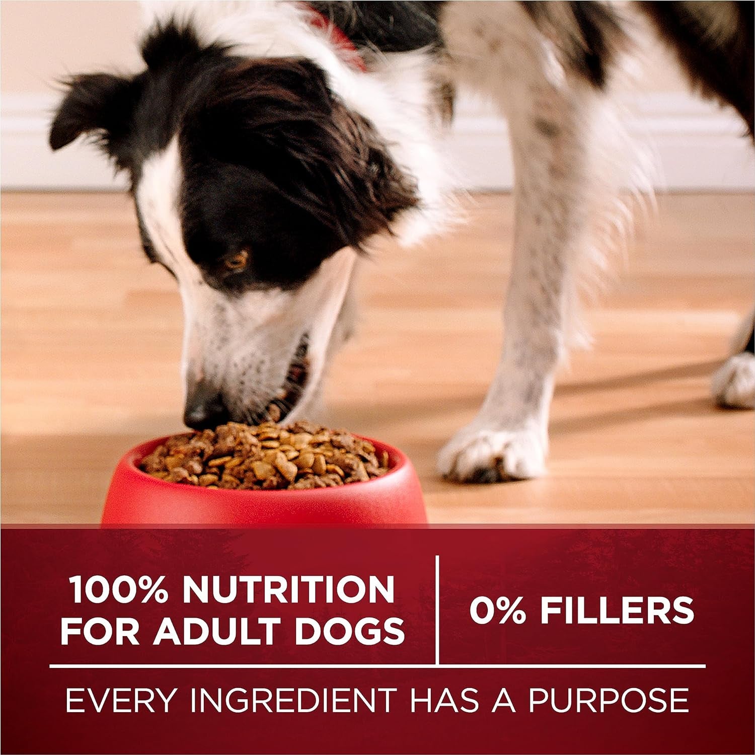 Smartblend True Instinct Natural Dry Dog Food, Turkey & Venison 1.72 Kg