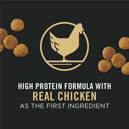 High Protein Dry Puppy Food, Chicken and Rice Formula - 6 Lb. Bag