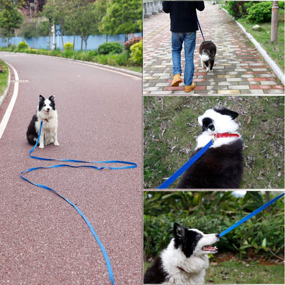 Dog Leashes for Small and Medium Dogs,Strong Durable Dog Leades,5Ft/6Ft/10Ft/15Ft/20Ft/30Ft/50F Long, 3/4 Inch Wide(Blue,5Ft)